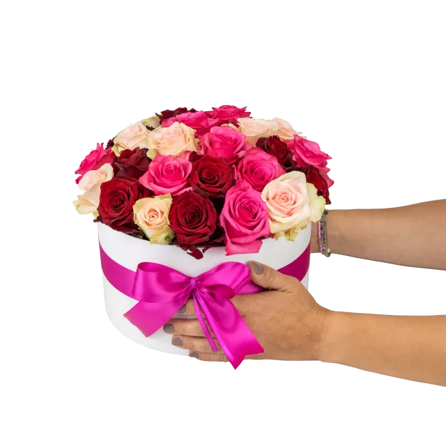 Květinový box růží